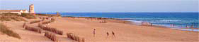 La playa de El Palmar se encuentra en regeneracin de las dunas.