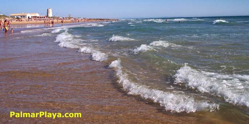 Playa de El Palmar, a la altura de Torre Nueva. Esta es la zona ms cercana a casa Marta y Mara.