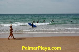 En el palmar se dan cita numerosos aficionados al Surf.